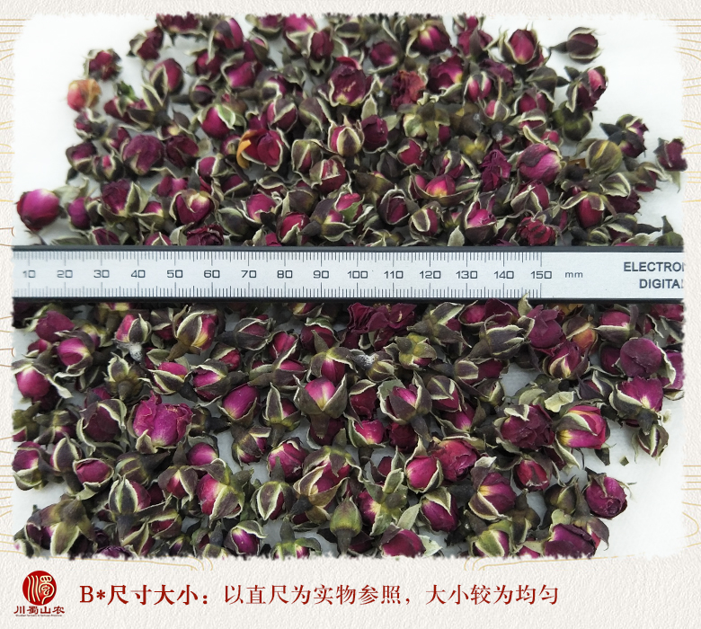 cstcssnjinbianmeiguihuaxuanhuo09.jpg