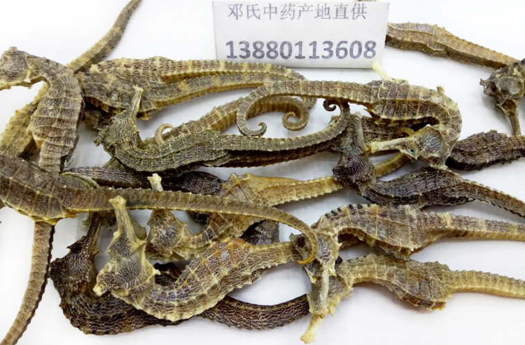 haimachangequanqingshui020.jpg