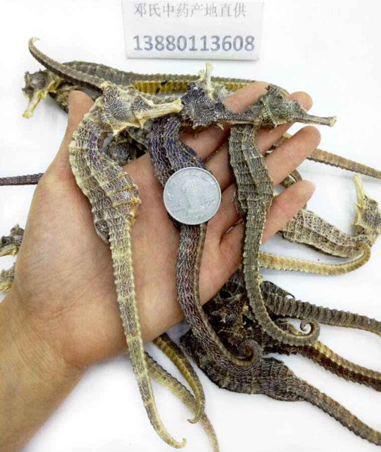 haimachangequanqingshui014.jpg