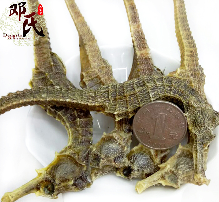 haimachangequanqingshui016.jpg