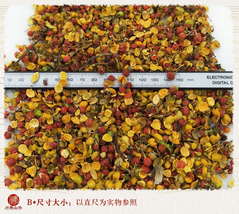 cstcssnhehuanhuazihuachayong09.jpg