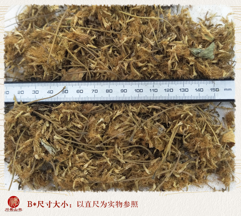 cstcssnhehuanhuatonghuo09.jpg