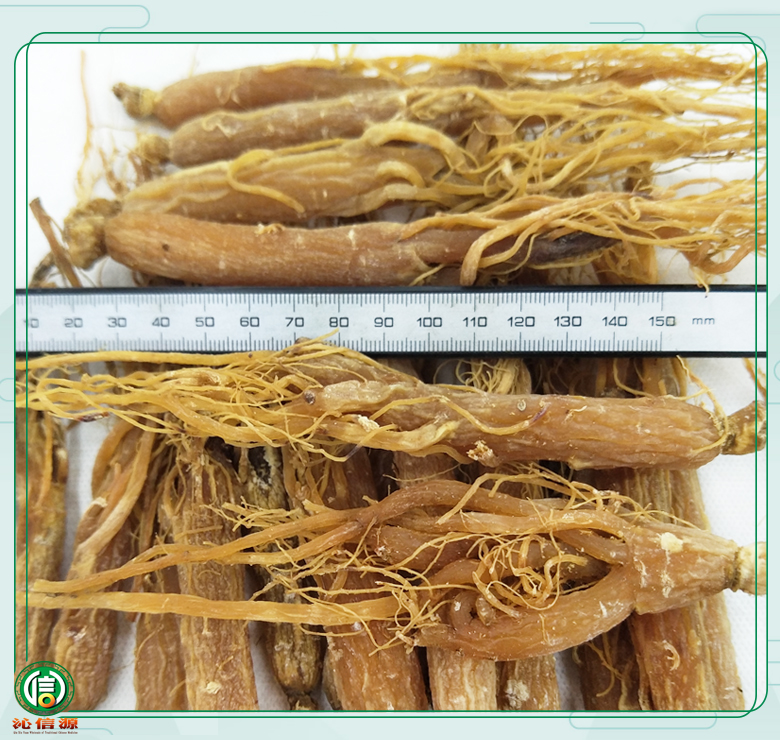 daixuhongshen40zhi08.jpg