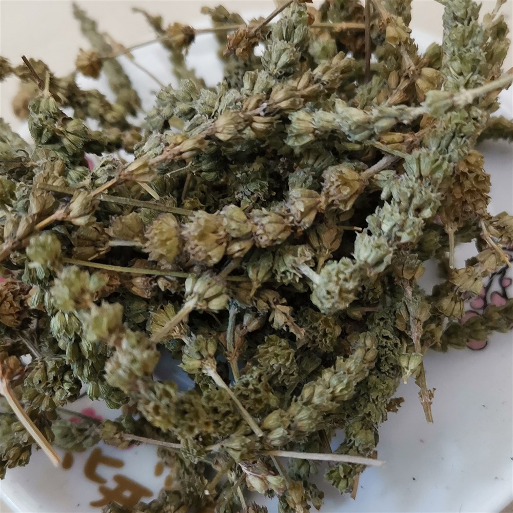 芥穗1_副本.jpg