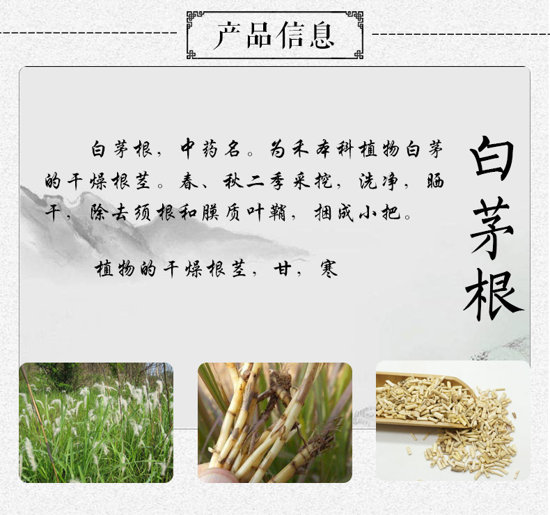 白茅根详情1_03.jpg