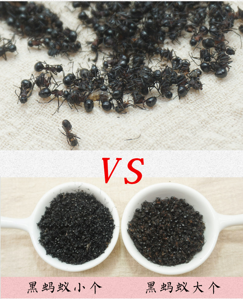 黑蚂蚁大个详情7.jpg
