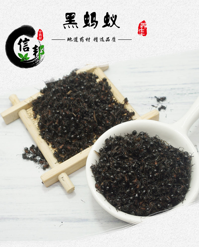 黑蚂蚁大个详情1.jpg