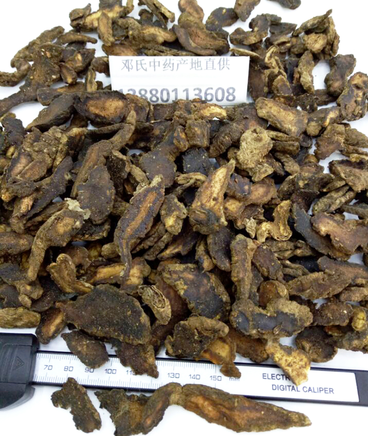 shengdipianthal09.jpg
