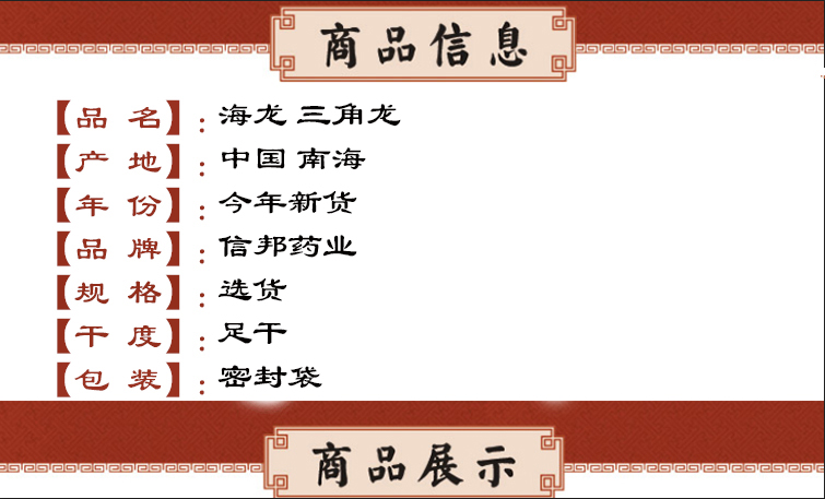 海龙 三角龙.jpg