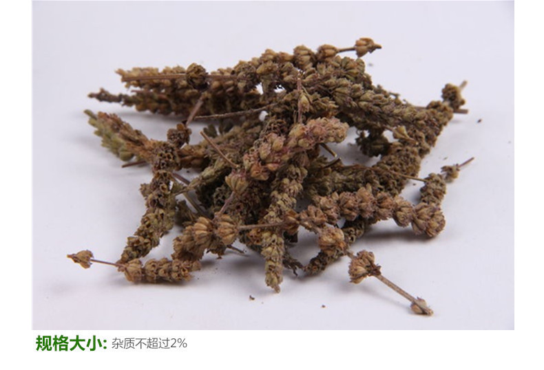 荆芥穗6.jpg