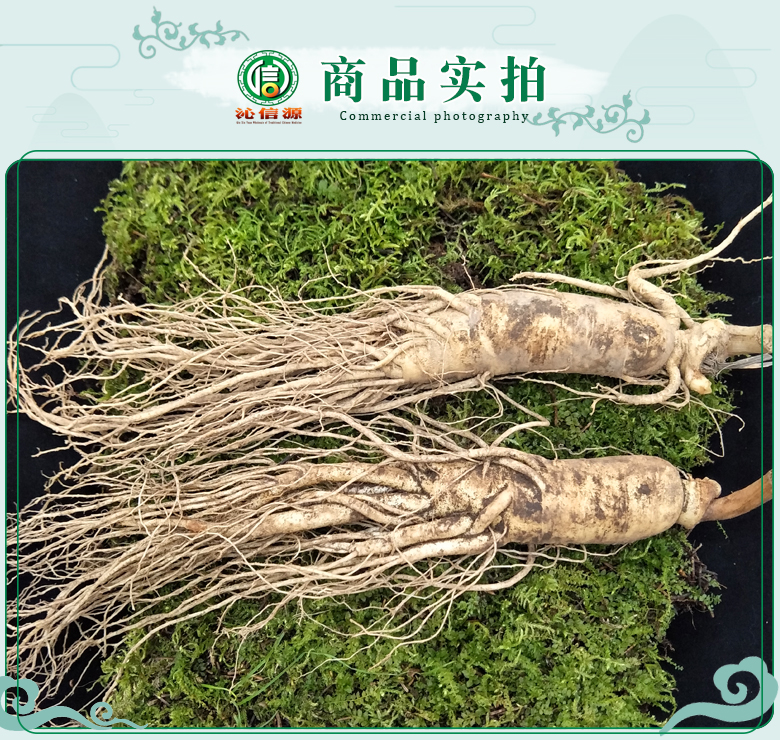 xinxinrenshentiao07.jpg