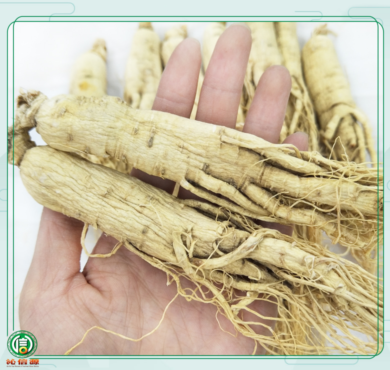 rensheng±18zhi011.jpg