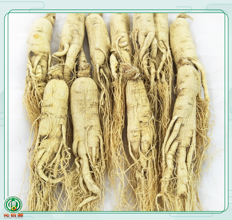 rensheng±18zhi013.jpg