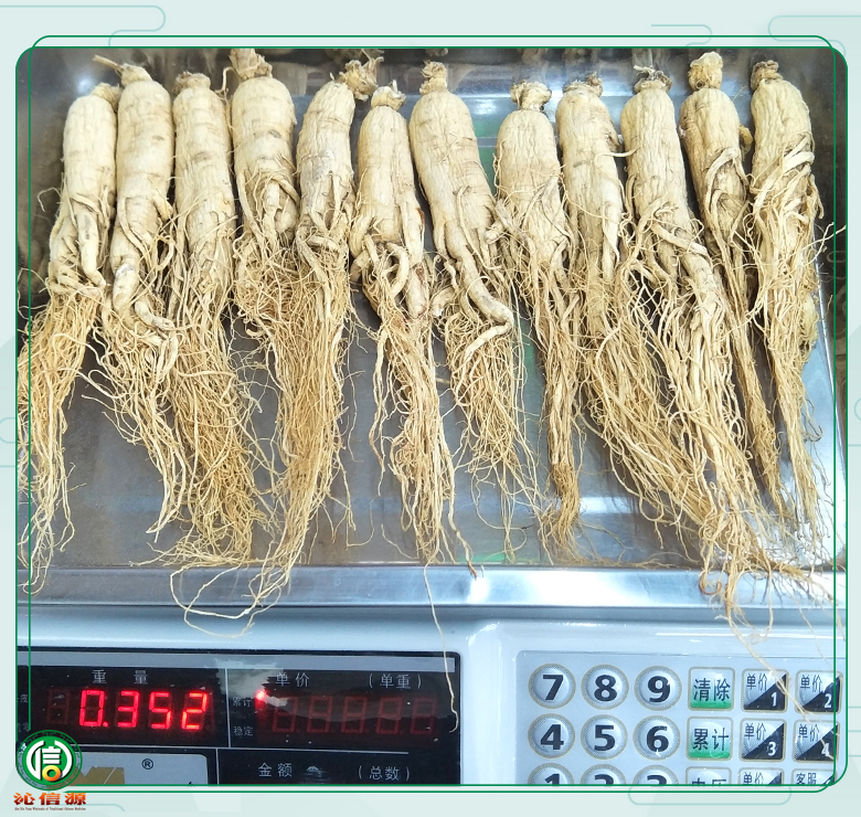 rensheng±18zhi06.jpg
