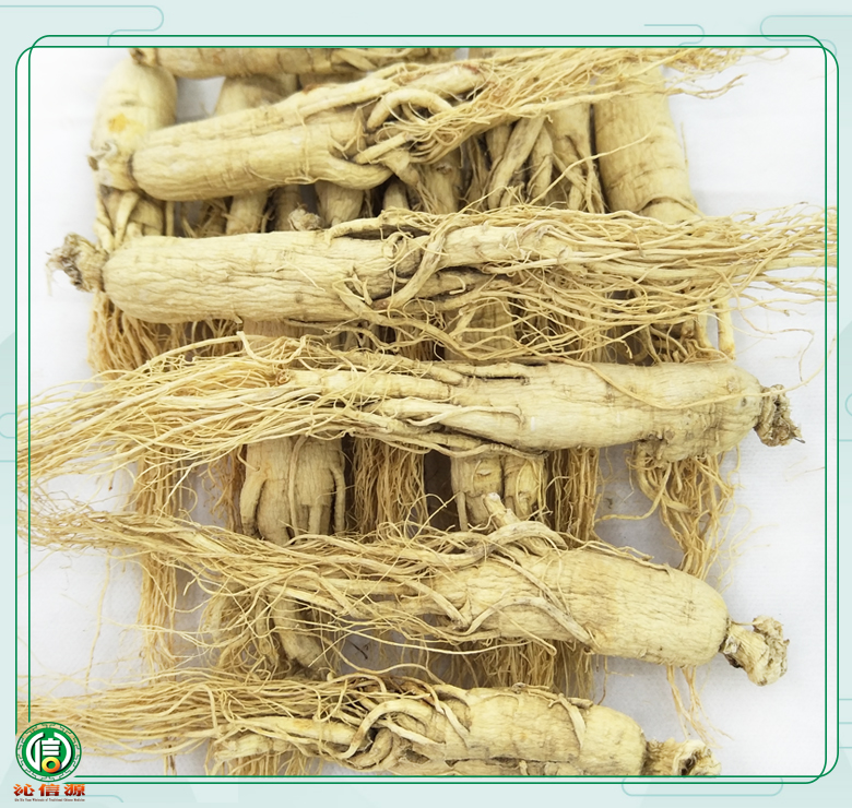 rensheng±18zhi010.jpg