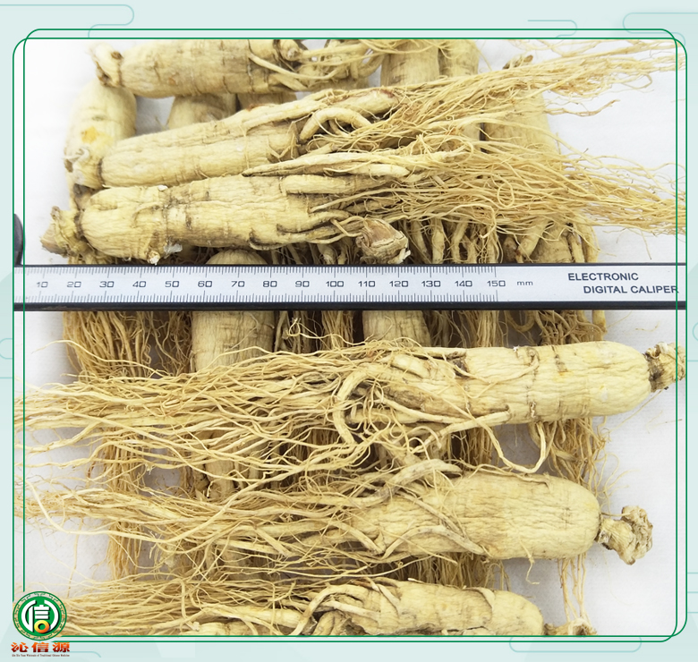 rensheng±18zhi08.jpg