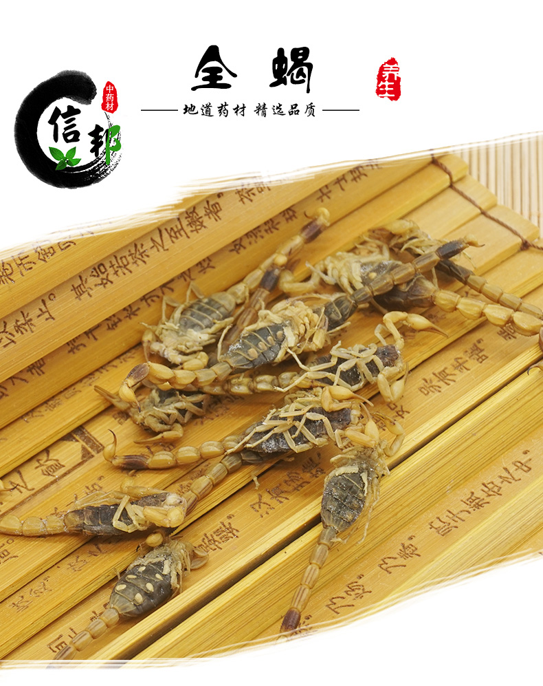 盐水全蝎_01.jpg
