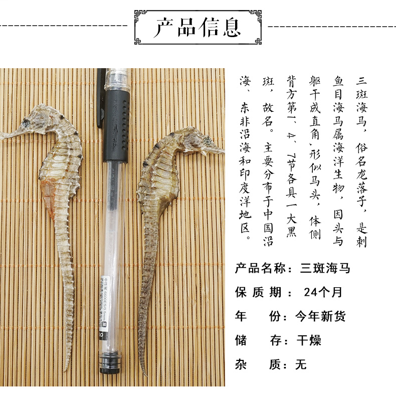 三斑海马_02.jpg