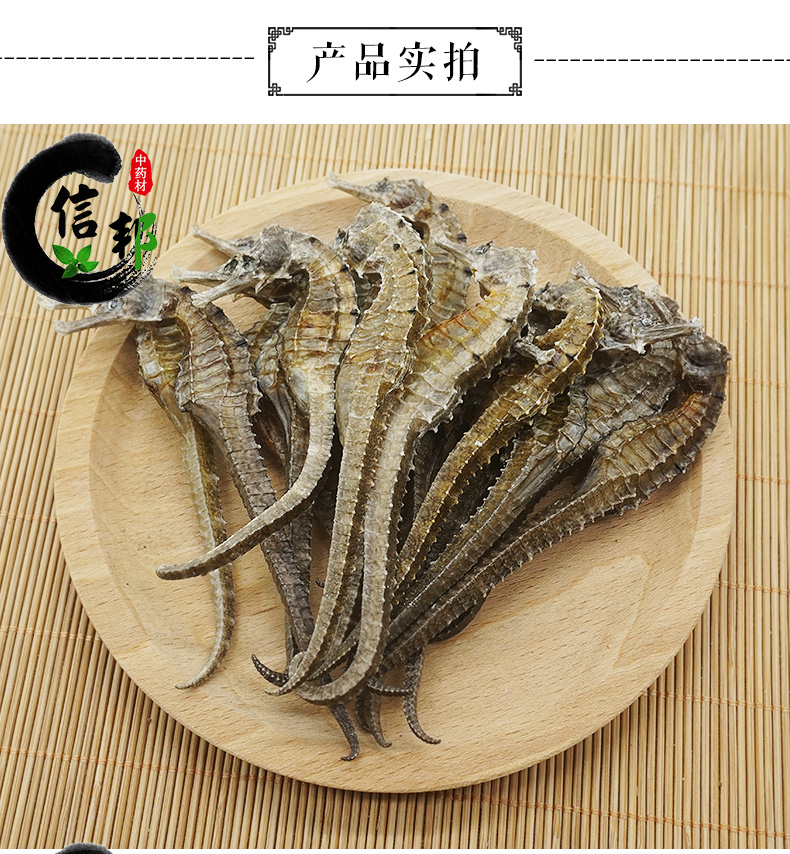 三斑海马_03.jpg