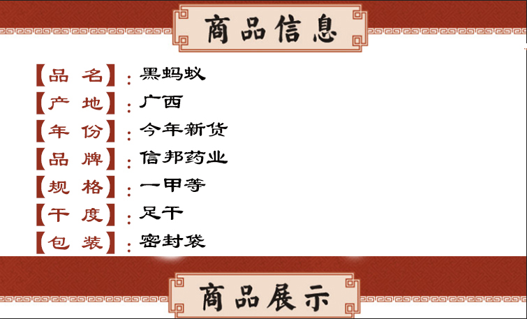 黑蚂蚁 信邦.jpg