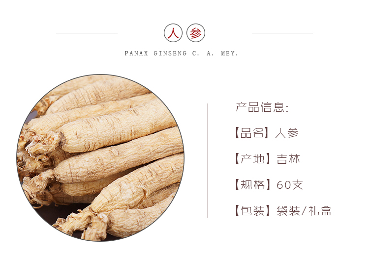 人参60.jpg