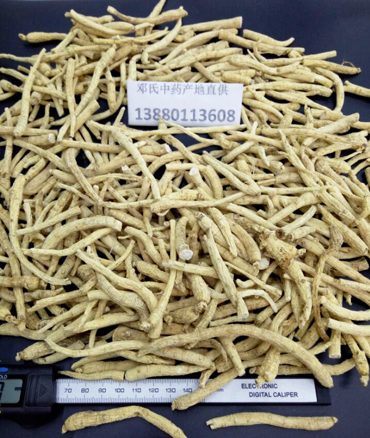 jielinxysxiaomaotiao011.jpg