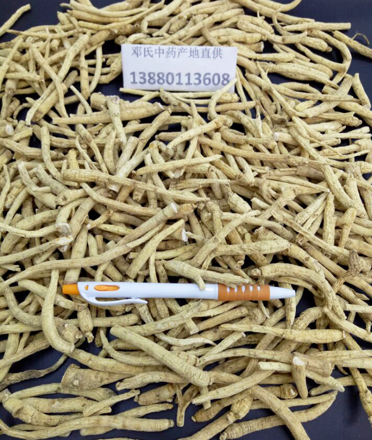 jielinxysxiaomaotiao013.jpg