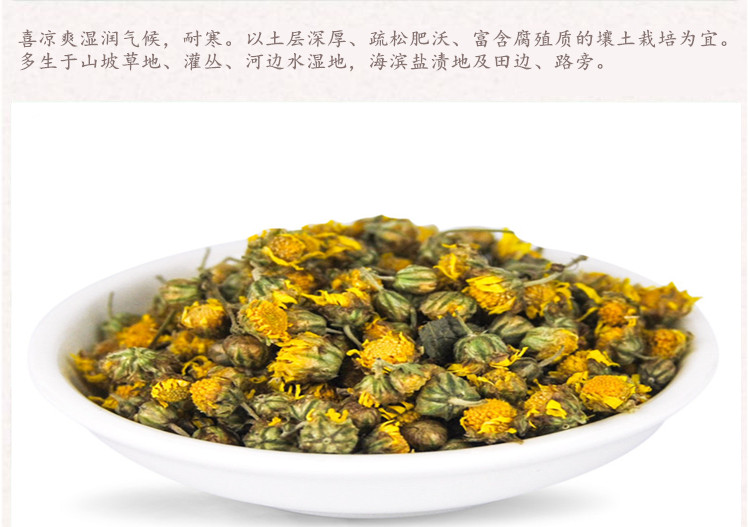 野菊花4.jpg