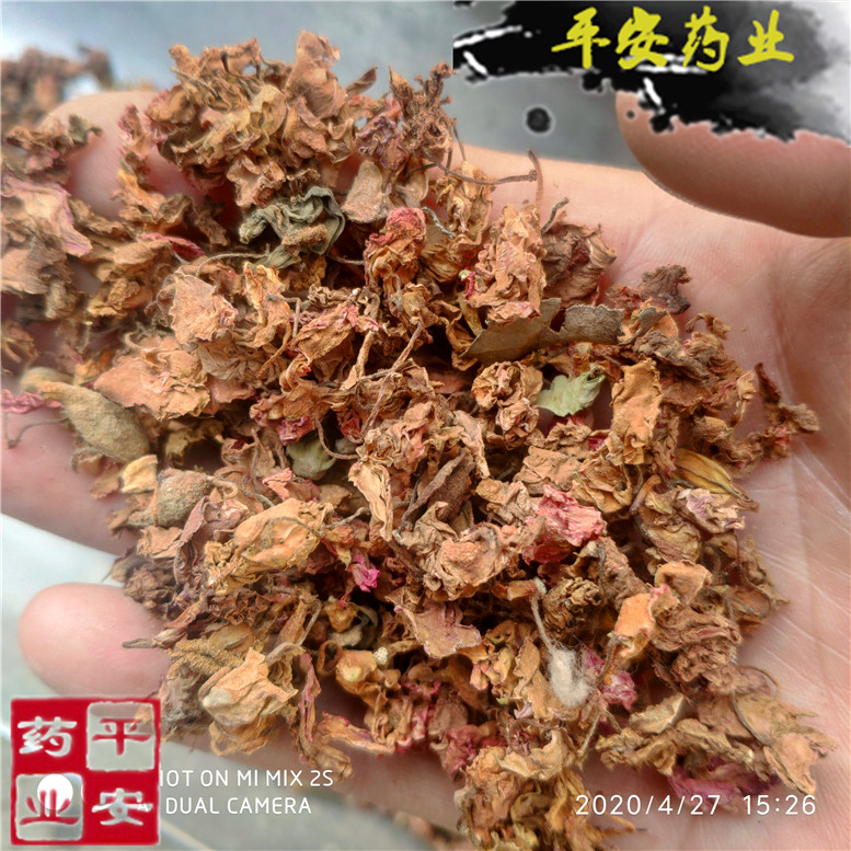 凤仙花海娜花指甲花云~14_副本.jpg