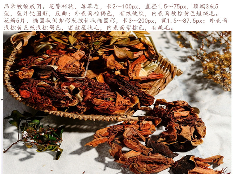 木棉花5.jpg