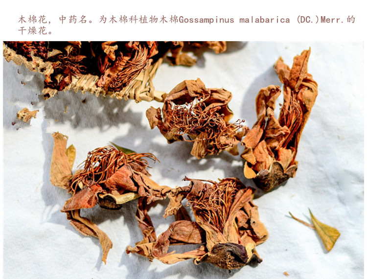 木棉花3.jpg
