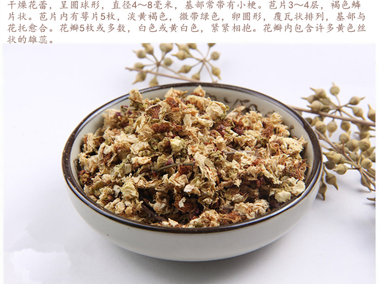 白梅花5.jpg