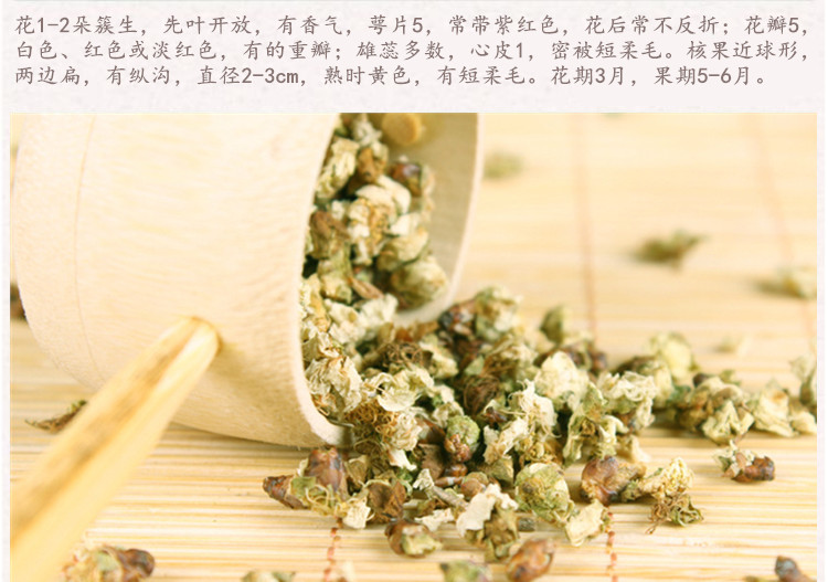 绿梅花4.jpg