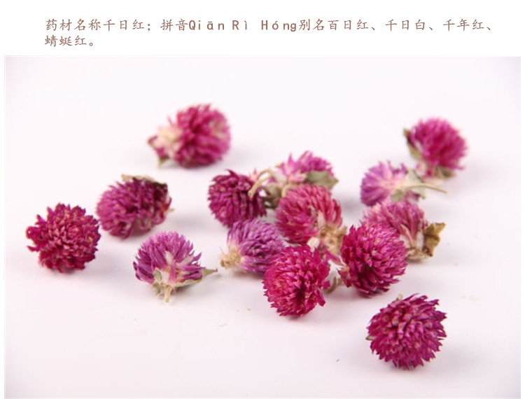 千日红3.jpg