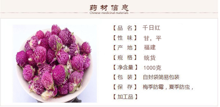 千日红1.jpg