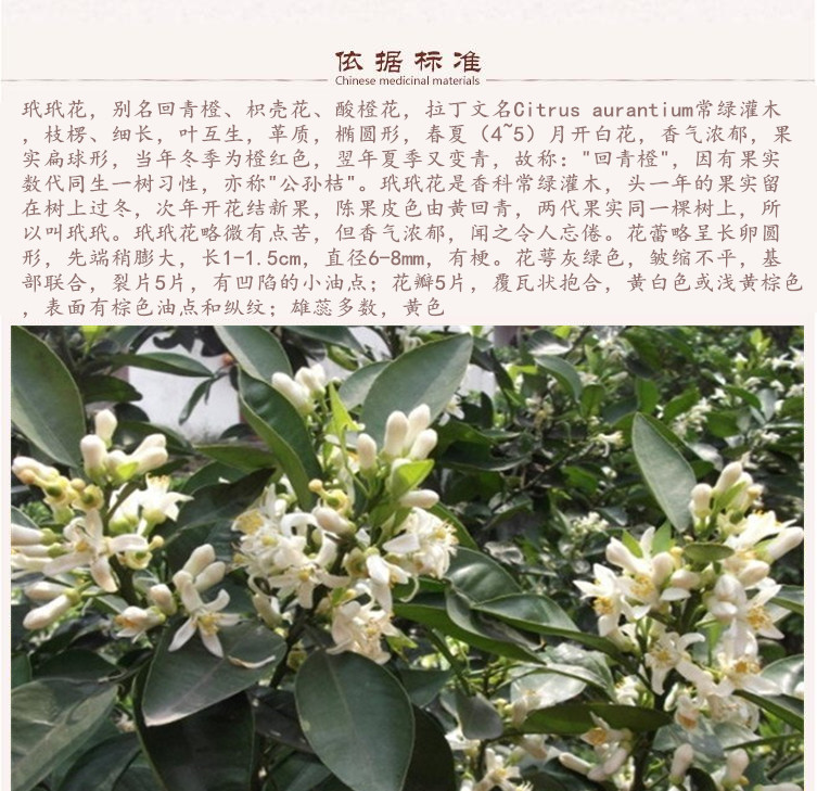玳玳花8.jpg