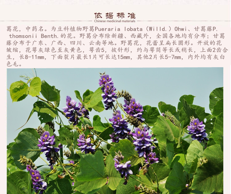 葛花7.jpg
