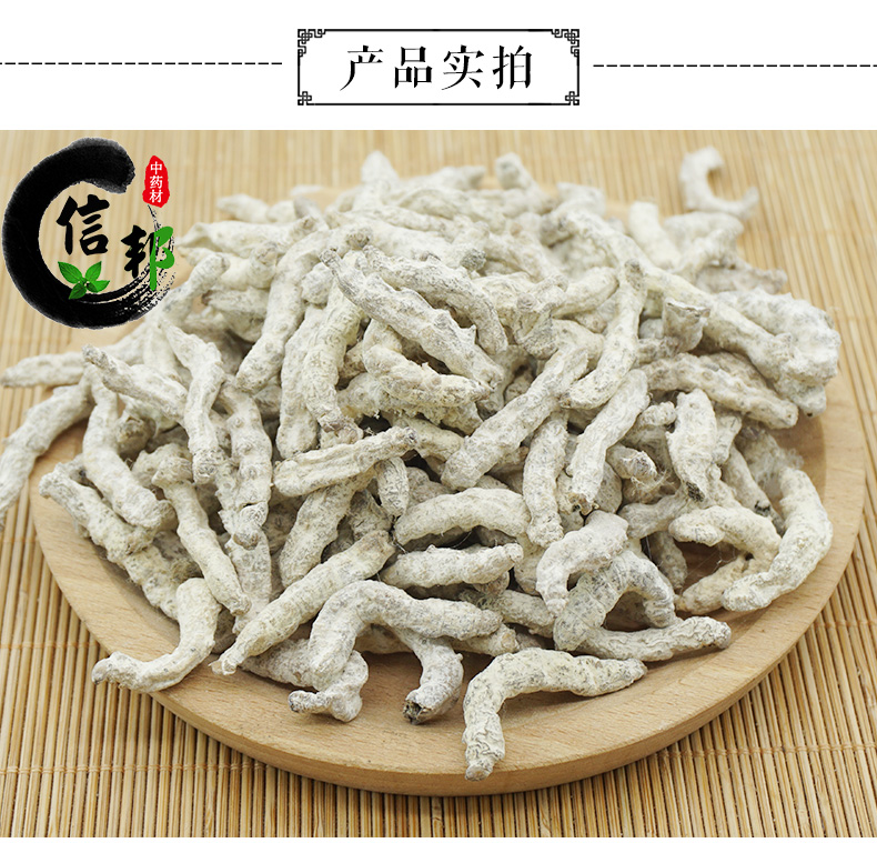 僵蚕3.jpg