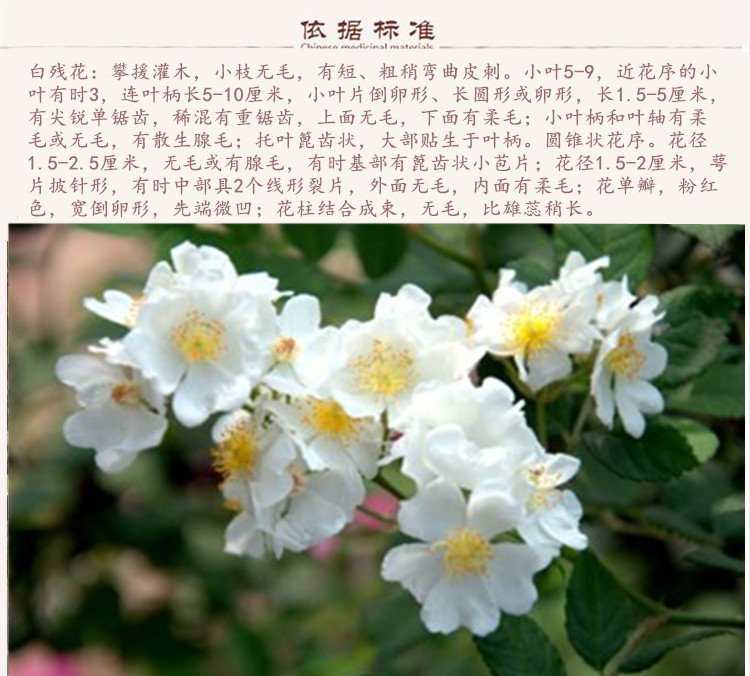 白残9.jpg