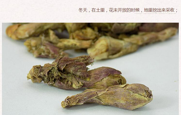 款冬花4.jpg