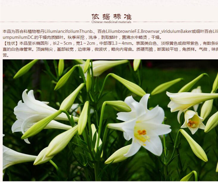 详情首图.jpg