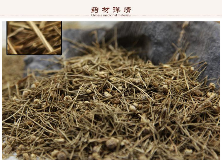 谷精草2.jpg