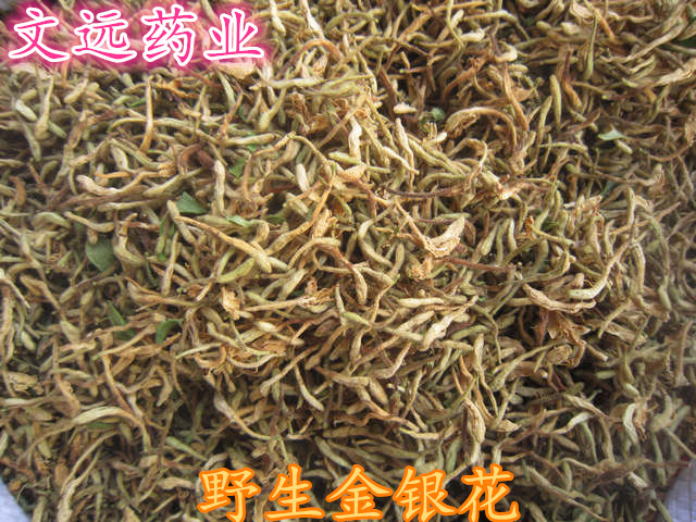 金银花选1_副本.jpg