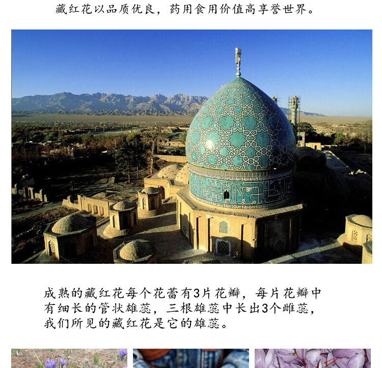 新藏红花8.jpg