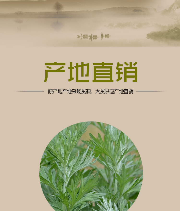 艾叶_08.jpg