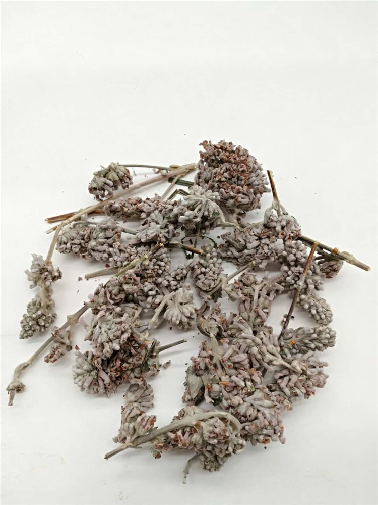 迷蒙花3.jpg