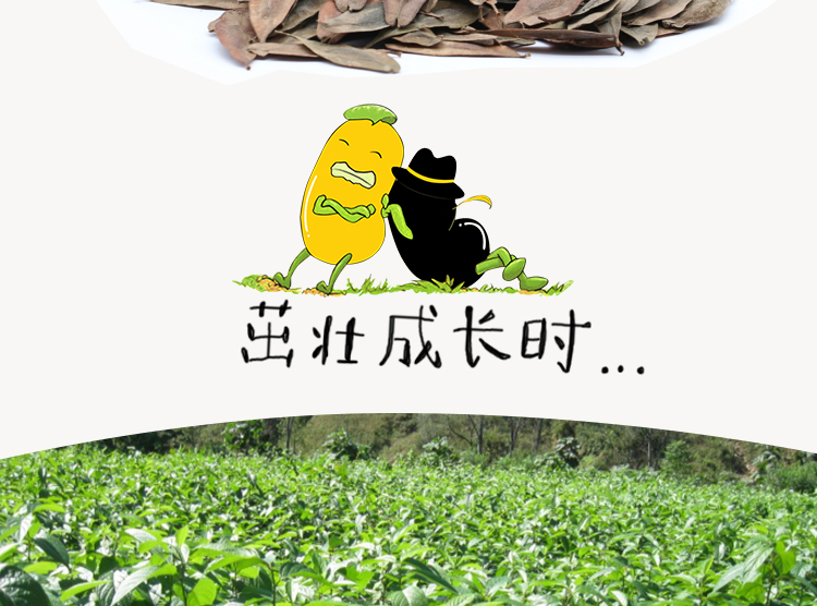 TB2HUxsX9BYBeNjy0FeXXbnmFXa_!!671336152.png