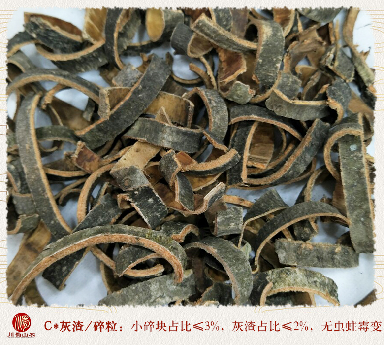 cstcssnhoupusi010.jpg