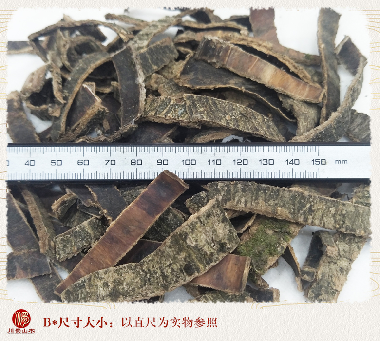 cstcssnduzhongsishenghuo010.jpg