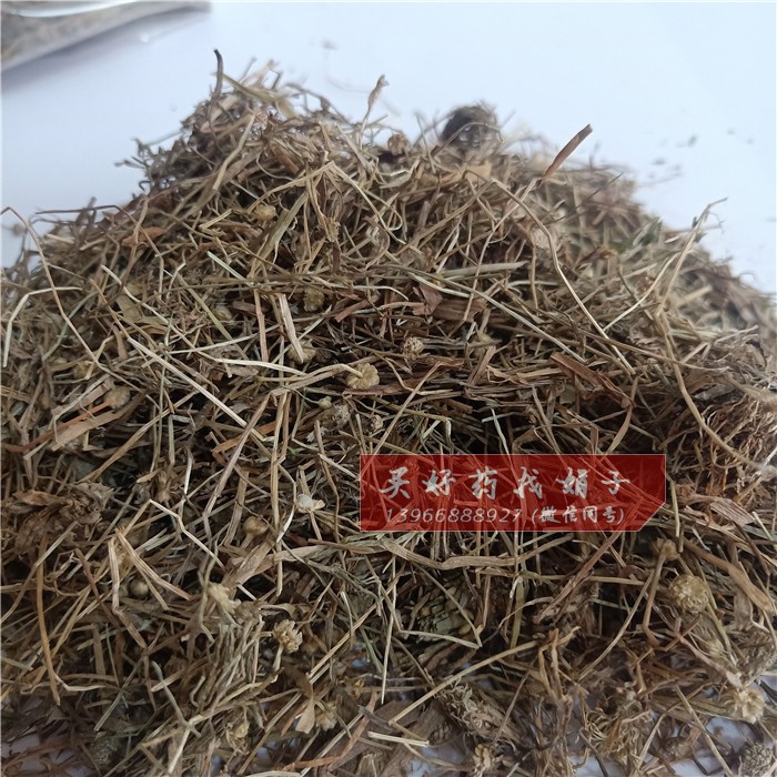 实体店拍照总成品.jpg
